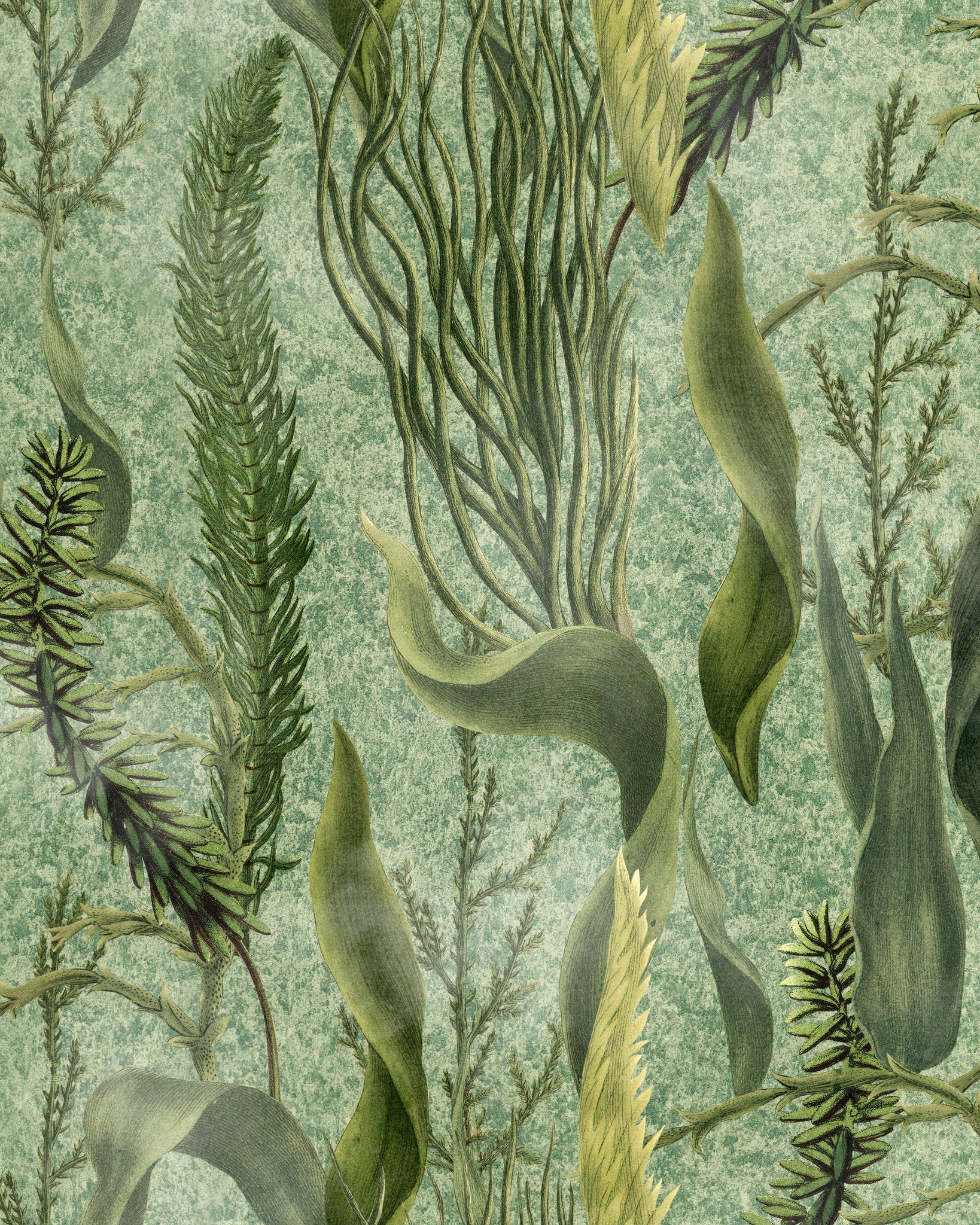MindtheGap AQUATIC PLANTS WP20717 Wallpaper