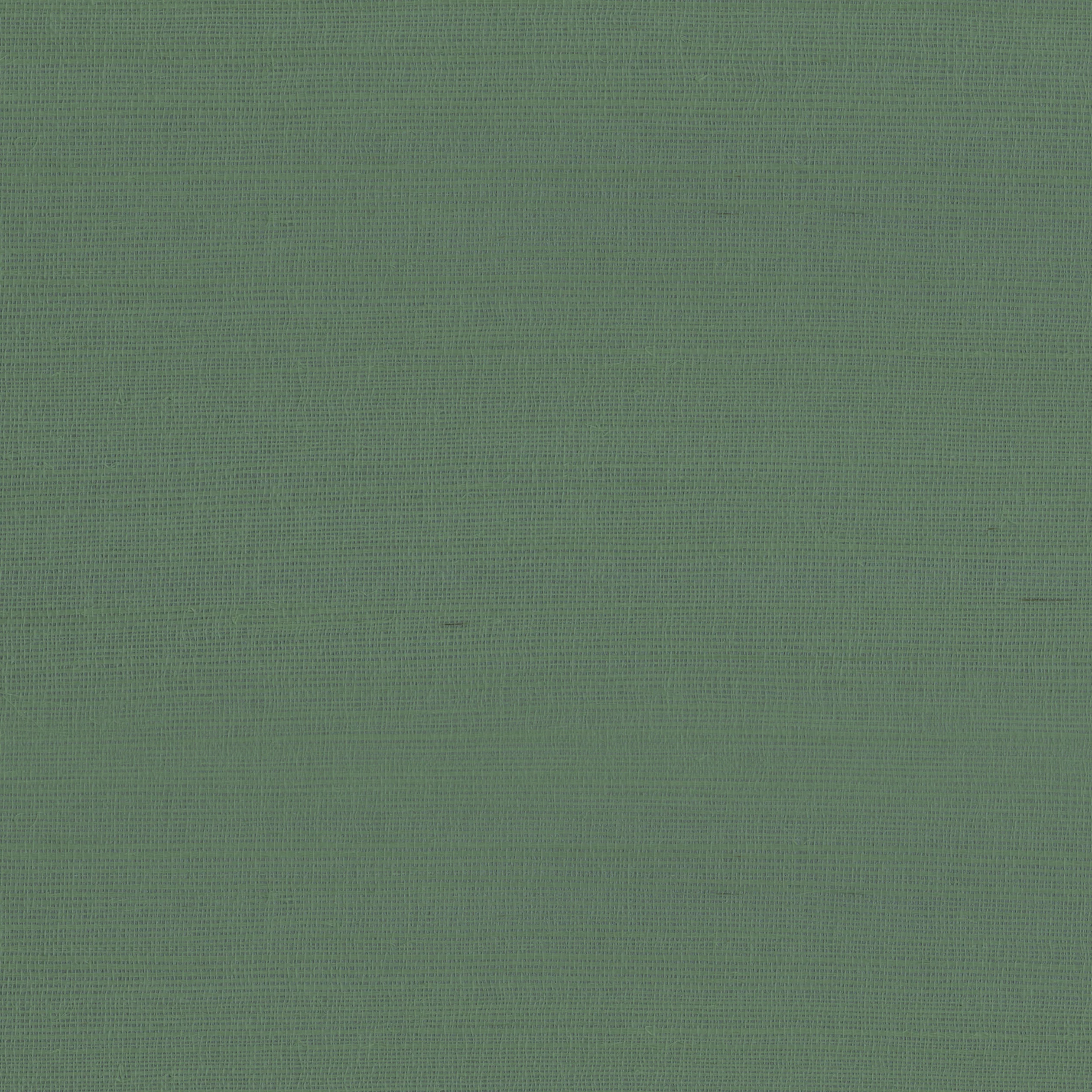 Armani RAFIA PLAIN 9981 in Green Wallpaper