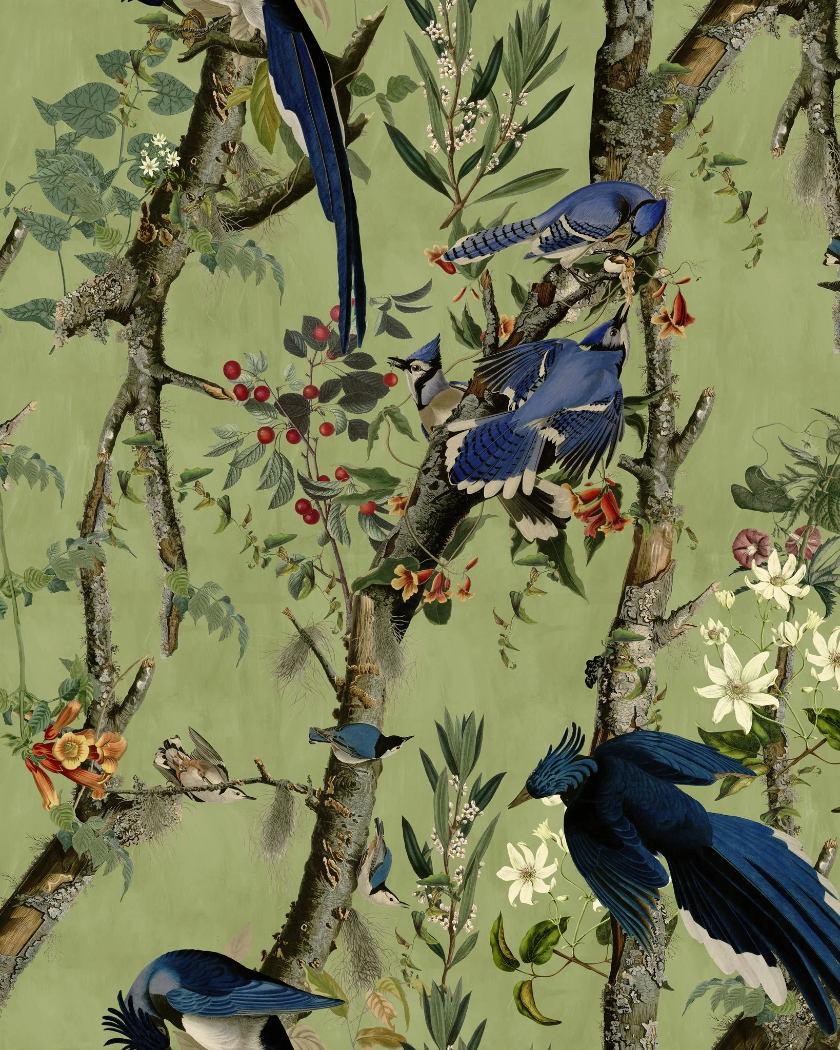 MindtheGap BIRDS OF DANUBE  WP20715 Wallpaper - Image 4