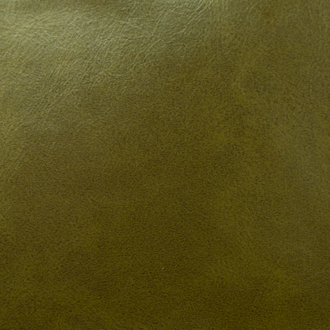 Indura Performance 10764 MILES GRASS Fabric