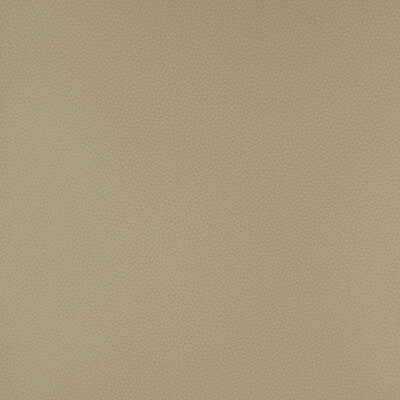 KRAVET DESIGN BIND.11.0 KRAVET DESIGN BIND-11 Fabric