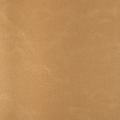 KRAVET DESIGN RIND.116.0 KRAVET DESIGN RIND-116 Fabric