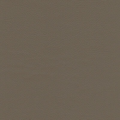 KRAVET DESIGN SUMAC.11.0 KRAVET DESIGN SUMAC-11 Fabric