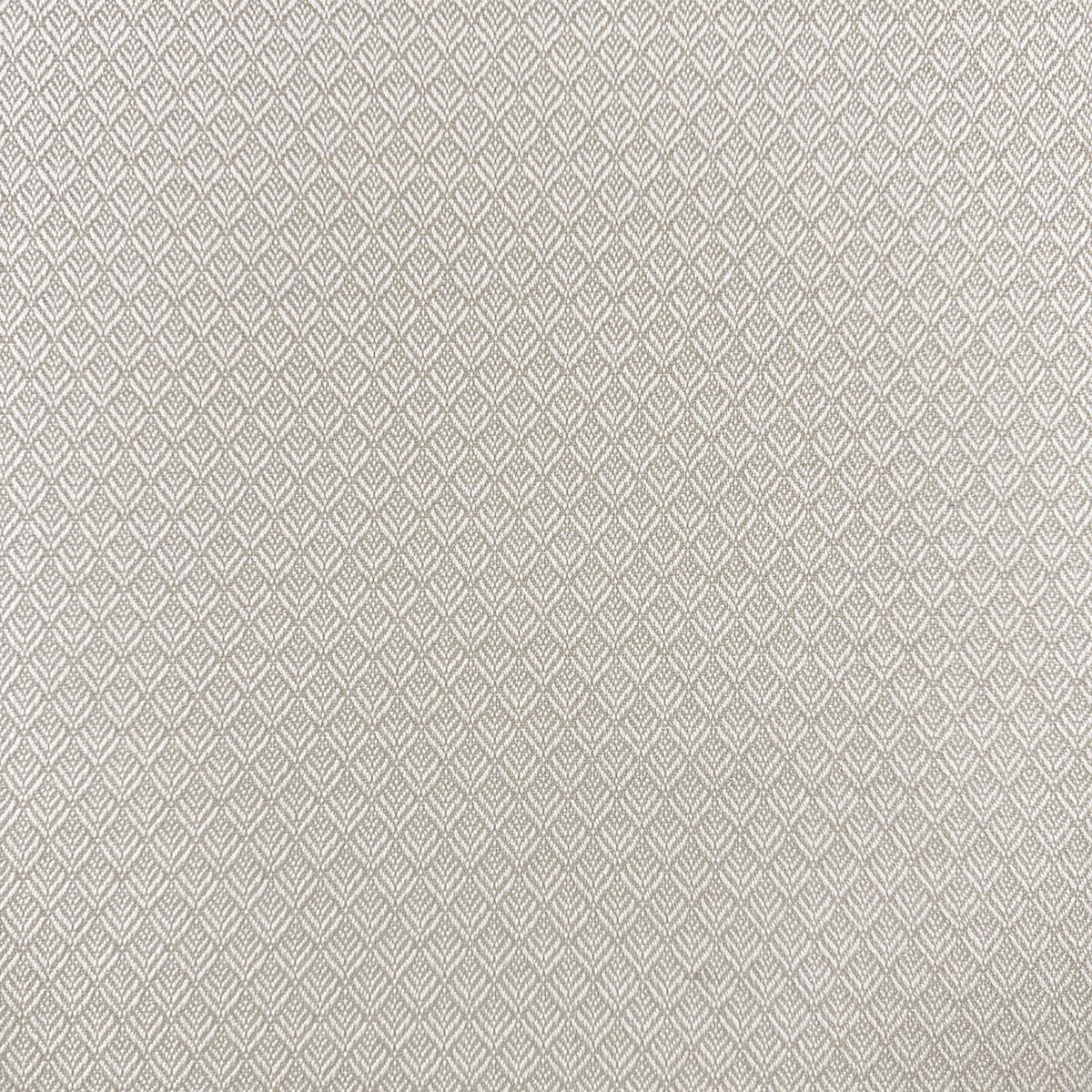 Mag Fabrics 11890 MIMUS SANDSTONE Fabric - Image 2