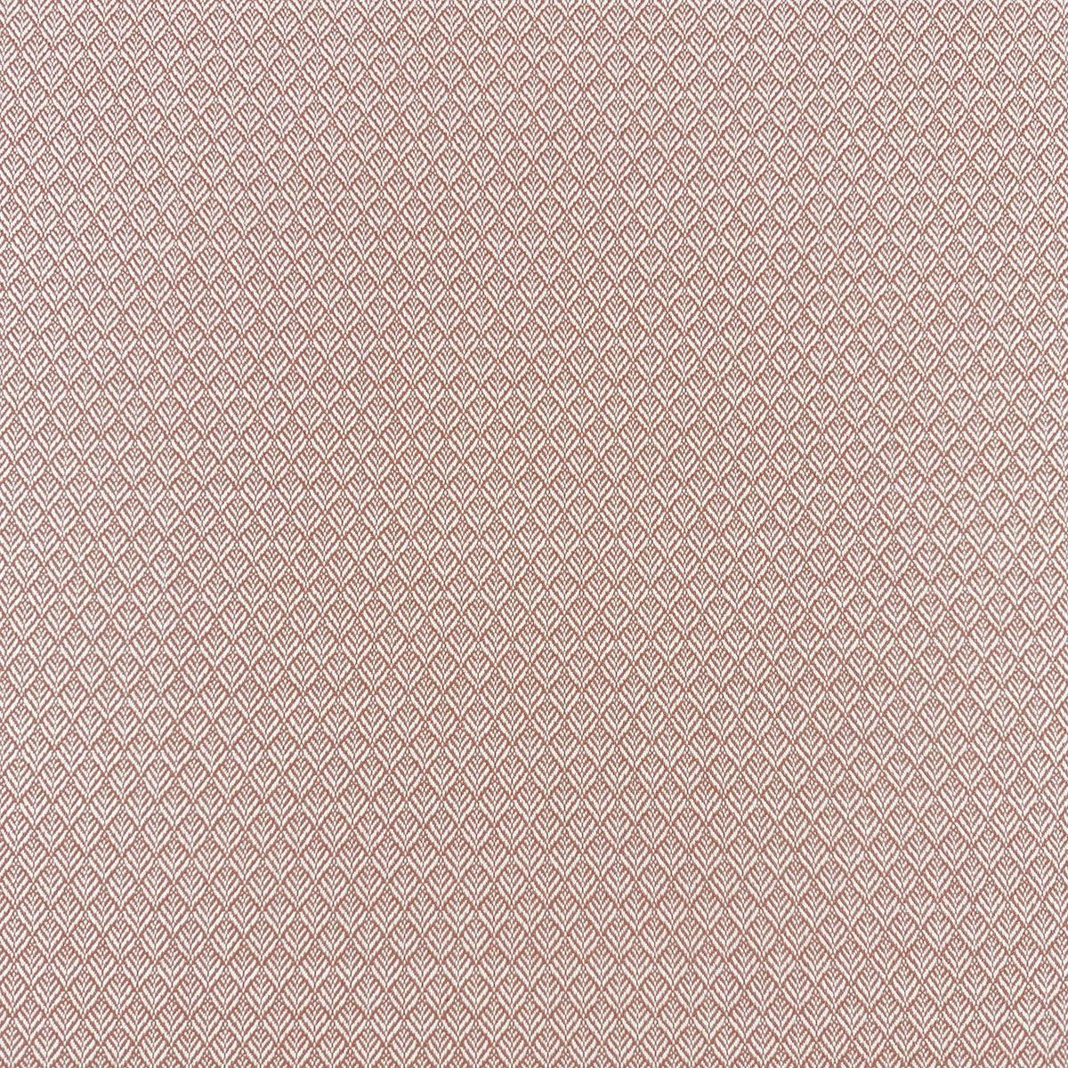 Mag Fabrics 11894 MIMUS PUNCH Fabric - Image 2