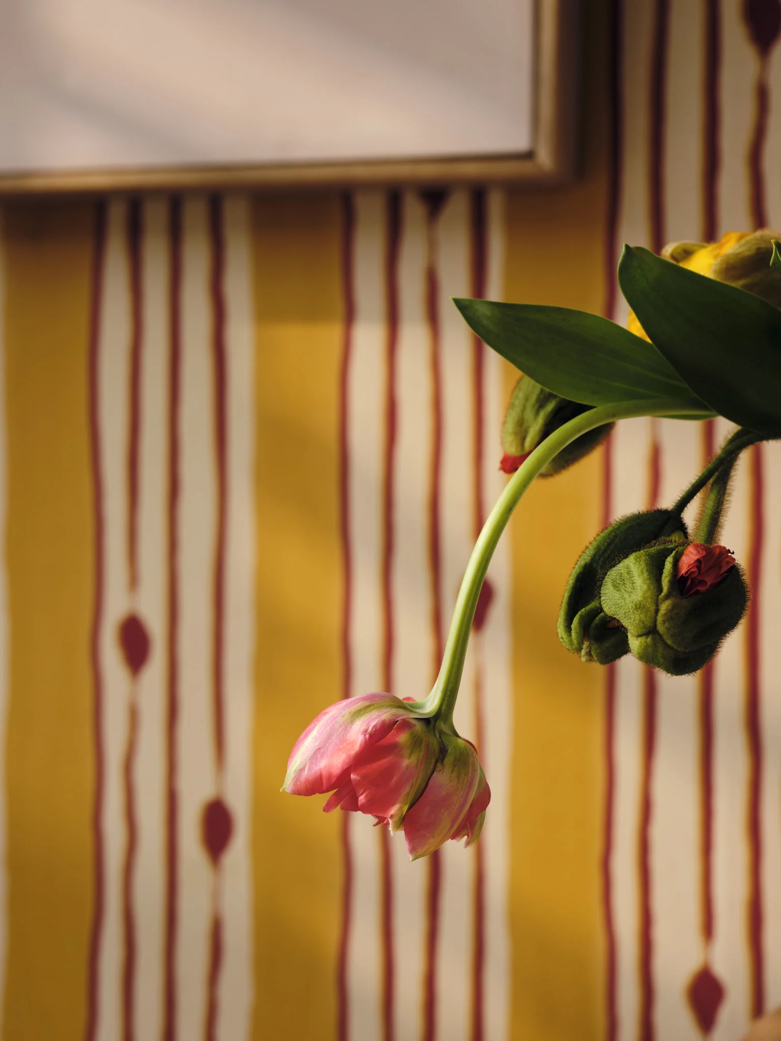 MindtheGap MINUANO Lemon WP30238 Wallpaper - Image 6