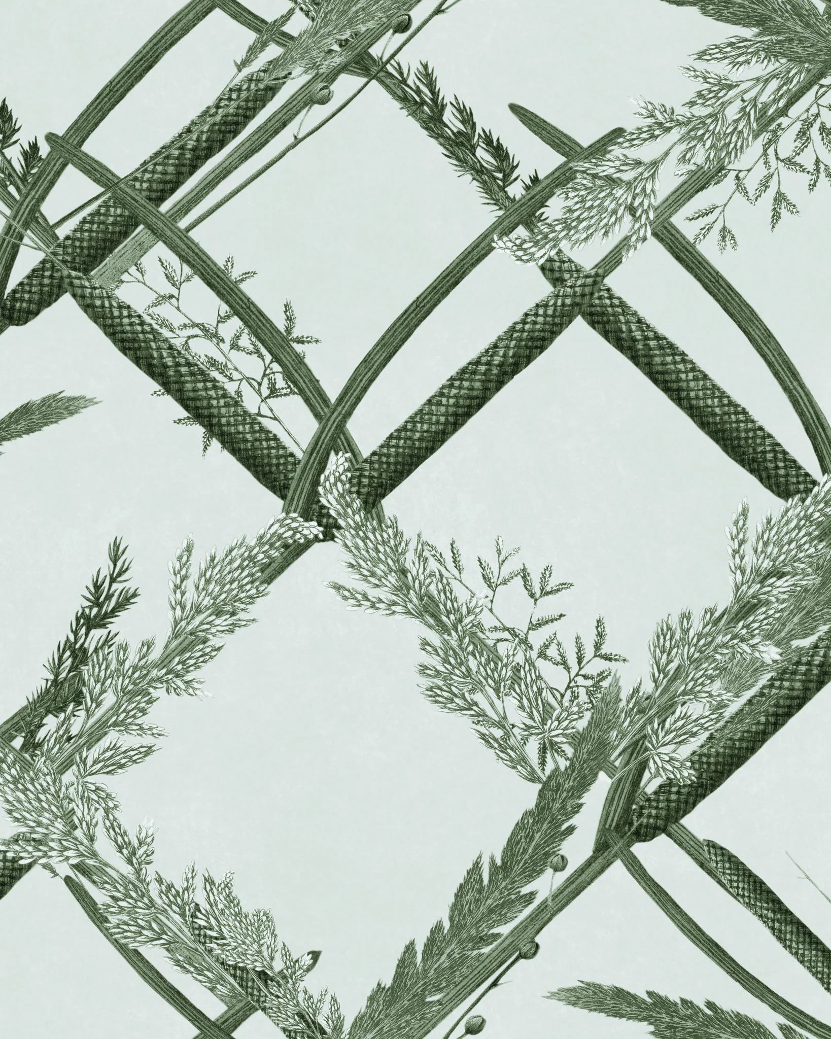 MindtheGap ORNAMENTAL REED Greenlake WP30162 Wallpaper - Image 2