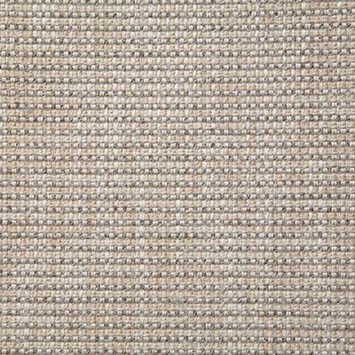 Pindler ABNEY SHELL 8043 Fabric
