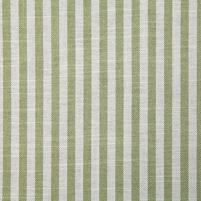 Pindler ALBERT SAGE P6710 Fabric