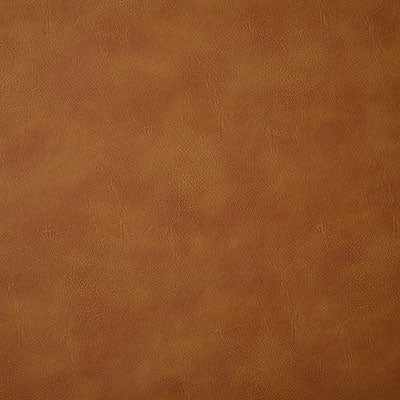 Pindler BANDWAGON SADDLE 6918 Fabric