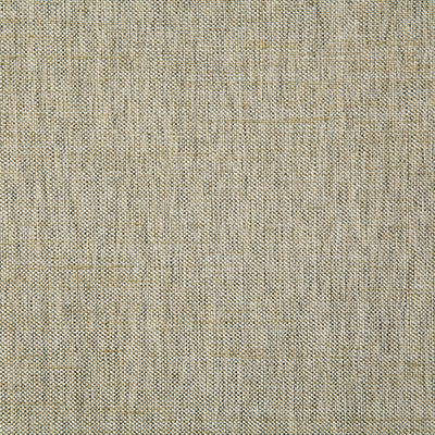 Pindler BECK BIRCH 7232 Fabric