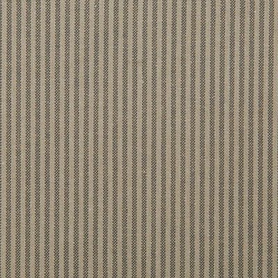 Pindler BENTLEY DOVE 7975 Fabric