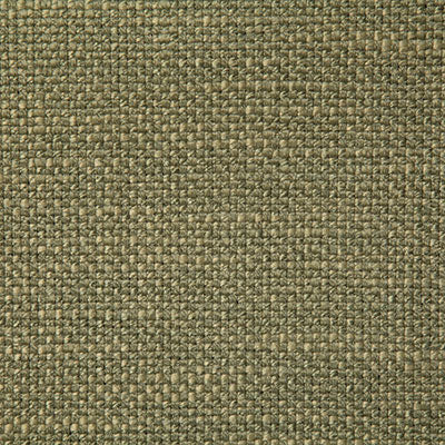 Pindler BRADLEY MOSS 7556 Fabric