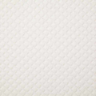 Pindler BREVARD ALABASTER 7300 Fabric