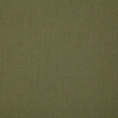 Pindler CALLAHAN JUNIPER 2381 Fabric