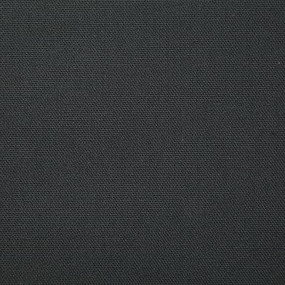 Pindler CALLAHAN STORM 2381 Fabric
