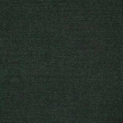 Pindler CLIFFRIDGE FOREST 8165 Fabric