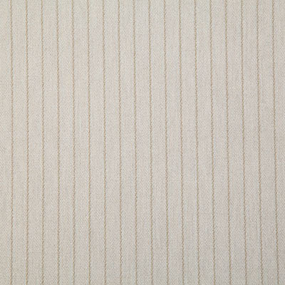 Pindler CRAIG SAND 7966 Fabric