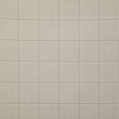 Pindler DANSON PEBBLE 7491 Fabric