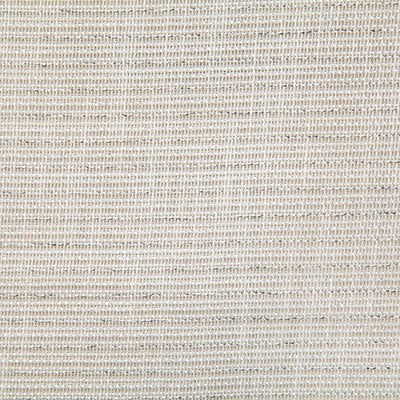 Pindler DAVIDSON SNOW 7475 Fabric