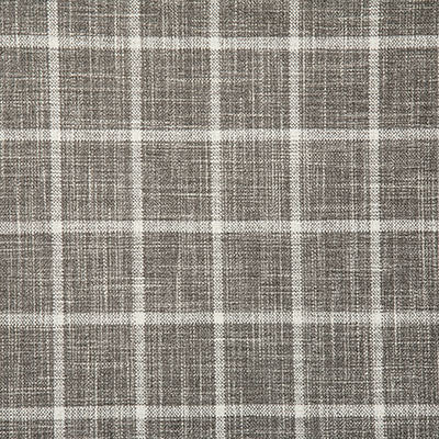 Pindler DUMAS STORM 7098 Fabric