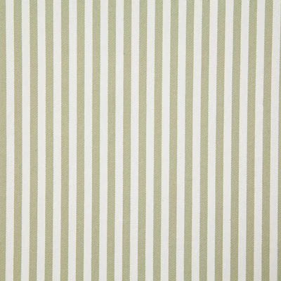 Pindler FULHAM SAGE 8158 Fabric