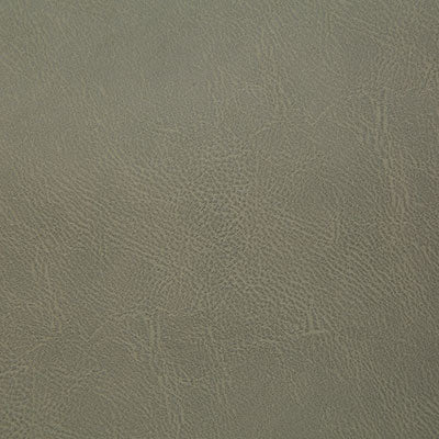 Pindler GITTY UP ALOE 8077 Fabric