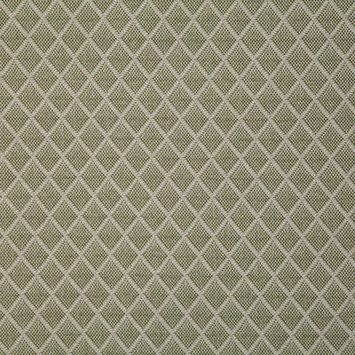 Pindler HARROGATE PALM 7955 Fabric