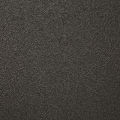 Pindler HOWDY CHARCOAL 7879 Fabric