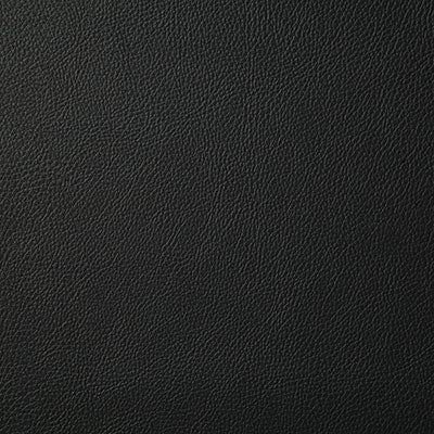 Pindler HOWDY ONYX 7879 Fabric