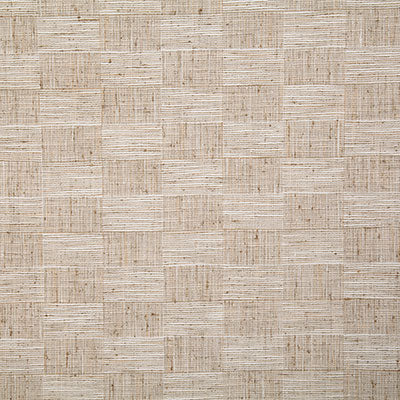 Pindler JAX STRAW 7541 Fabric