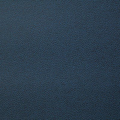 Pindler LASSO INK 8078 Fabric