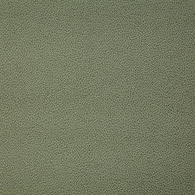 Pindler LASSO MOSS 8078 Fabric