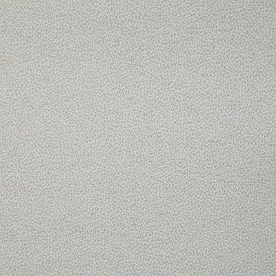 Pindler LASSO PARCHMENT 8078 Fabric
