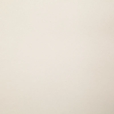 Pindler MUSTANG IVORY 7399 Fabric