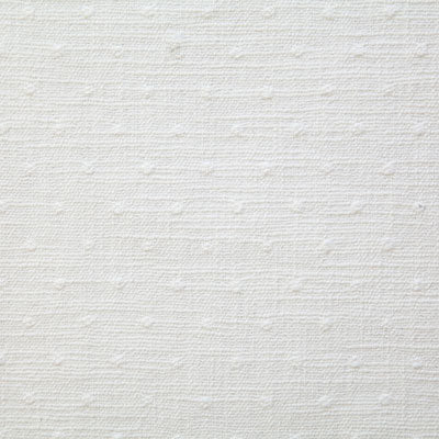 Pindler NELMES SNOW 7739 Fabric