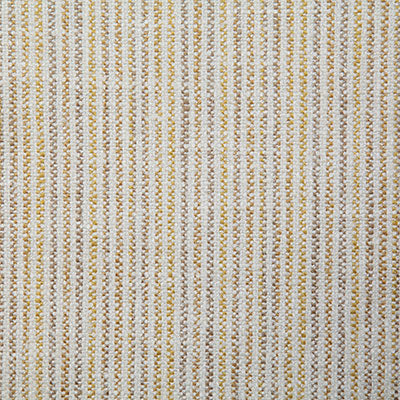 Pindler ONZA SOLEIL 7892 Fabric