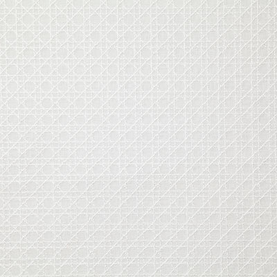 Pindler PARKER WHITE 8106 Fabric