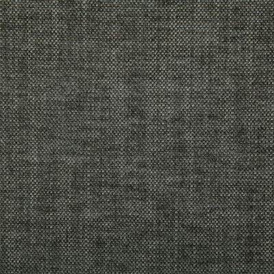 Pindler PEYTON SHALE 7533 Fabric