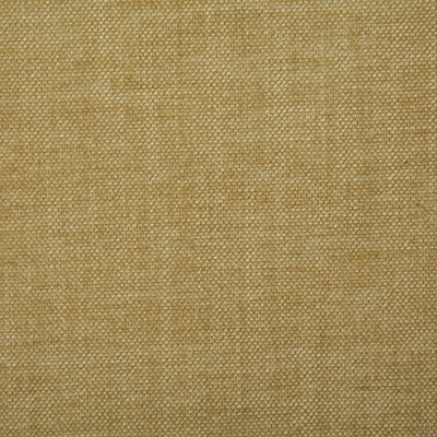 Pindler PEYTON STRAW 7533 Fabric