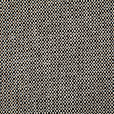 Pindler RIVERDALE BLACK 7289 Fabric