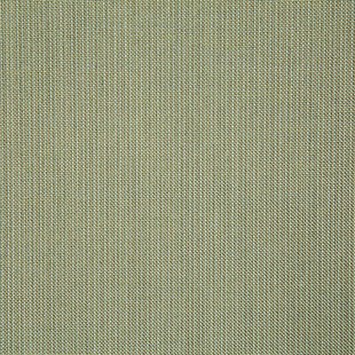Pindler ROCKWELL SPRING 8166 Fabric