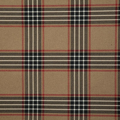 Pindler RUPERT NOIR 7813 Fabric