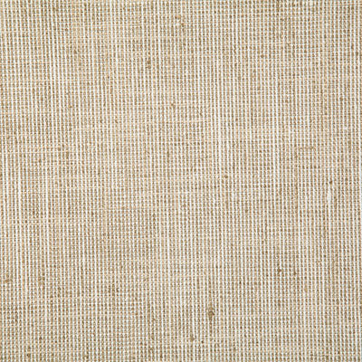 Pindler RYAN STRAW 7537 Fabric