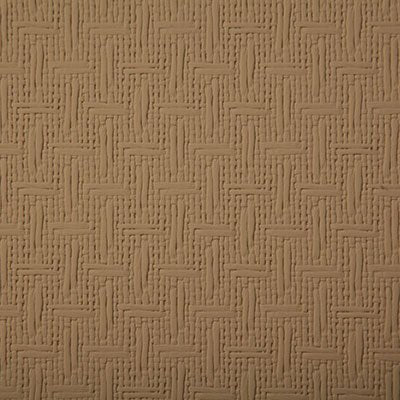 Pindler SUNBURST TAN 8075 Fabric