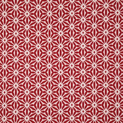 Pindler TIDEPOOL LACQUER 8169 Fabric