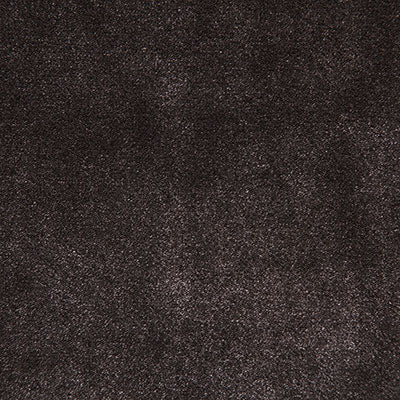 Pindler TITUS ESPRESSO 8003 Fabric