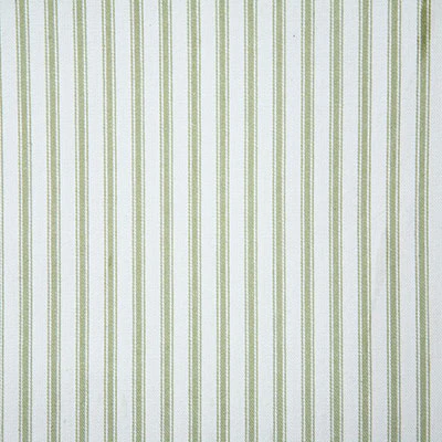Pindler TRUDIE FERN 6953 Fabric