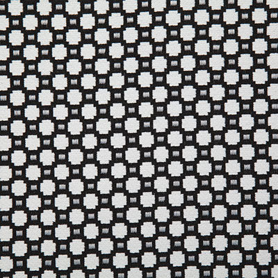 Pindler WALCOTT DOMINO 7056 Fabric
