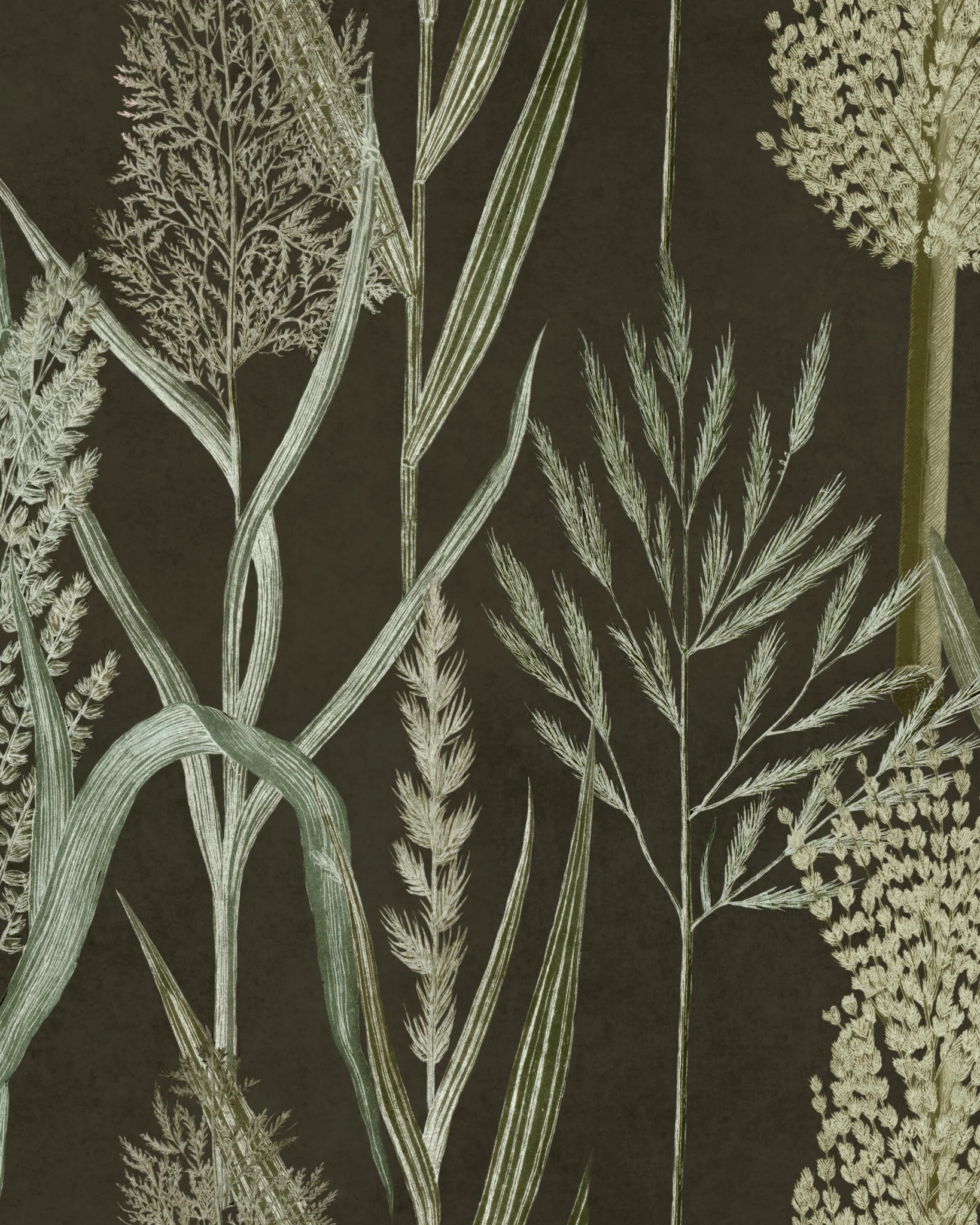 MindtheGap RIVERSIDE FLORA Anthracite WP30166 Wallpaper